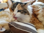 20180104212246474.jpg