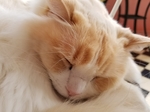 20180319195444929.jpg