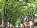 20180521181918651.jpg