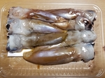 20190421064009725.jpg