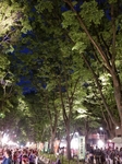20190520210610700.jpg