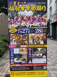 20190803013332084.jpg