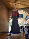 20190810222305855.jpg