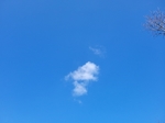 20220206214116244.jpg